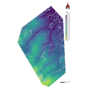 Topography